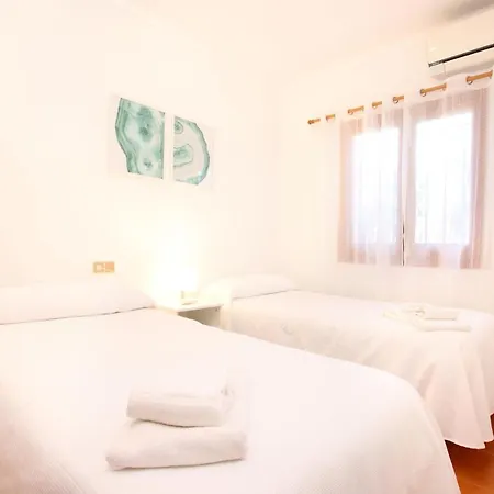 Magraner Catalina * פוינסה